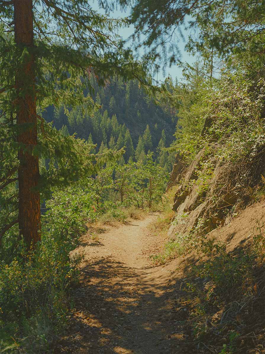 inscription 32e62a3f4bfb2fe75ef13052cd9e6e5c649d4f01c2d8aed0bbb10ed4f5757af9i0