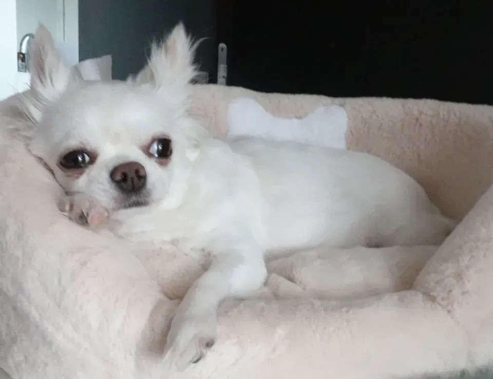 inscription 459facac8a2bd707159618117e8f0f758dbc3bb468b5e793bcaba9c8dea4f351i0