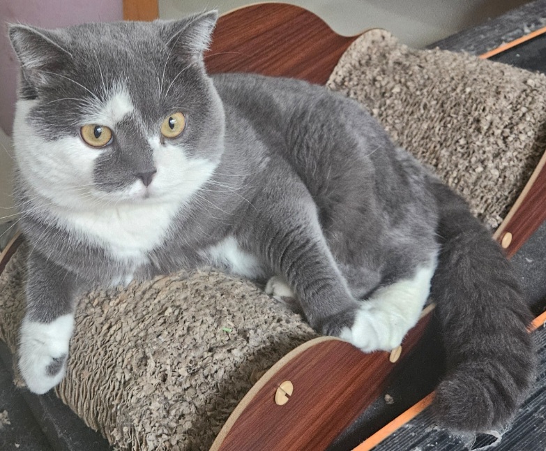 inscription 59d3d0f2bd4b9541a9585eeabbb6a87f6b5f14922e4d2f765de3db8a6b4b73a2i0