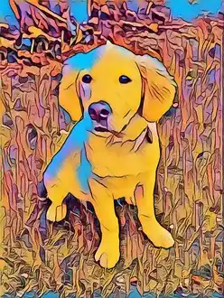 inscription 6daa28fffd5e9089e851dcb4bc7030d6cb832cbdefa23661761893d6020f72c9i0