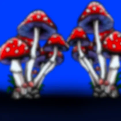 inscription 72bbd3e6842bcac9c505cffeb219ab2ef7126b3cae0ed46f4b830eaf25be3bdfi0