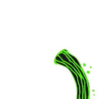 inscription 8b2bed1a7971415714e711ab1d00b47f5e04594eafbcc4e41346e4f5ff019fddi2