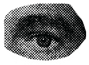 inscription 9321c19a2b2feec61e738f30a46e9148762ec04e0230ea0eabe11cb1aa92f08fi9