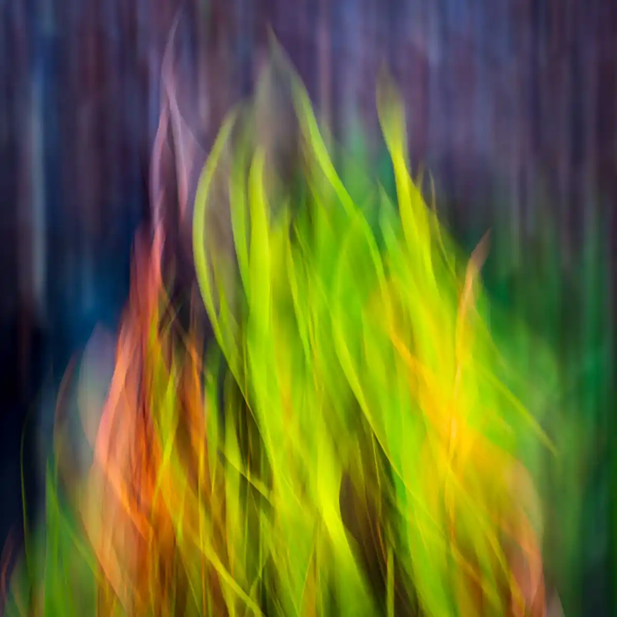 inscription 93f06186975ea4fe6ac62b2cc5d2dfd0ada491b76d3d79bb1cdf69f9e154d68di0