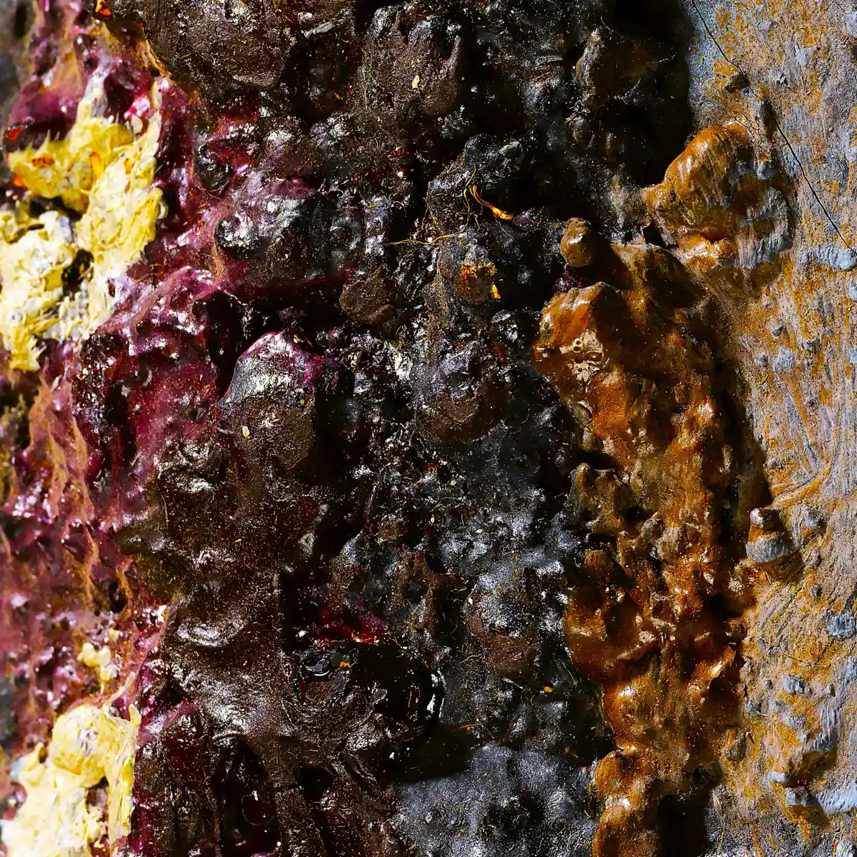 inscription a0fd7e4e8a10bd6fbf12ace91f328d2fa702e19f2ea3bf68a74319b546234dd9i0