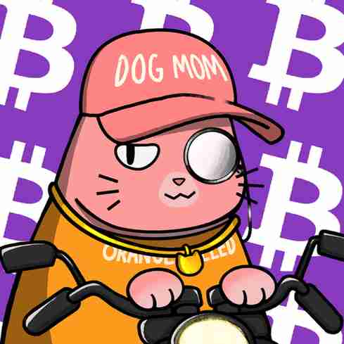 inscription a7b88a70c8b555611a4eba9a5c13faa17dc0306669bca9c5b71b598fac019dfbi14