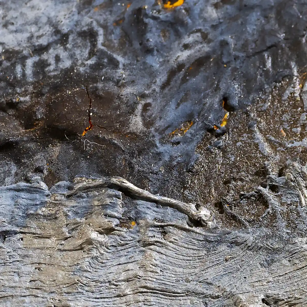 inscription ad4cbd3b372dc17a0b439fc41c50dff7d520a4e9eeb5def90631eb29845bd30ei0