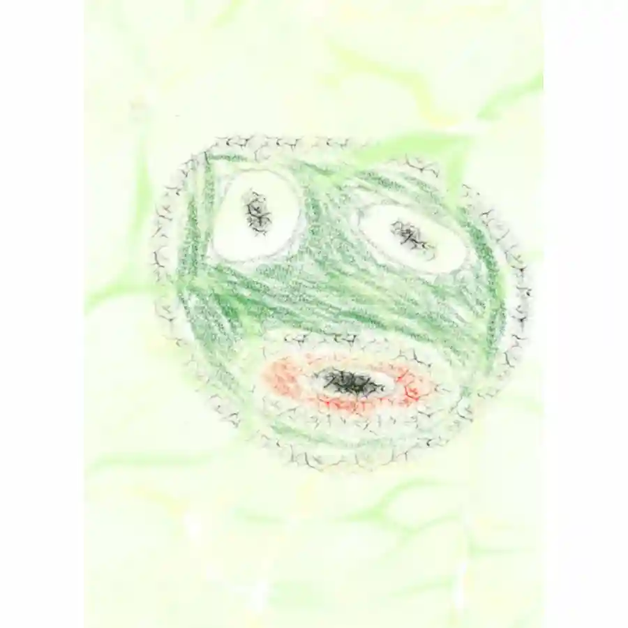 inscription b67d088fe00ef18b10f99a2f379f1072995f04cfdbff57e7a4aff47b2f76bbc6i0