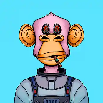 inscription c8bc72c4f5ca92d7a72c09cce8a1d3c73efb5eab94868f49b05af6d9b6d9fcd5i0