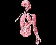 inscription edd2b8a3573fcc280395a1289529edaa00a1b00faba610a009e357af073df29bi0