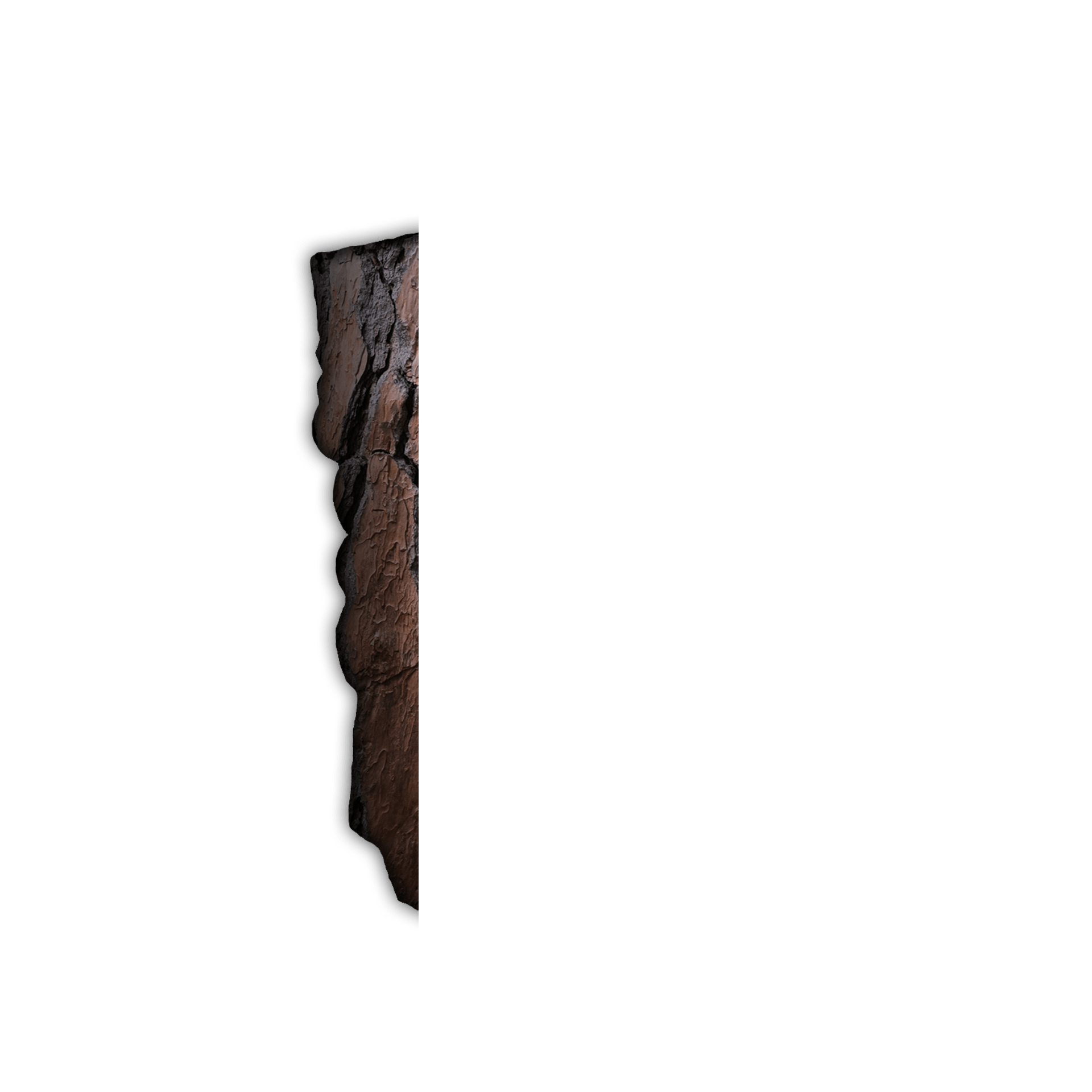 inscription f48ae29a8fde223263e15d9dd34e1bc25d27e79ec4e1501cb82e75bc63ae82fei1